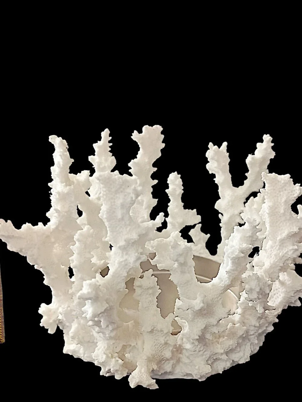 Pottery Barn Faux Coral Candle Holder Pillar White Resin Beach House Coastal
